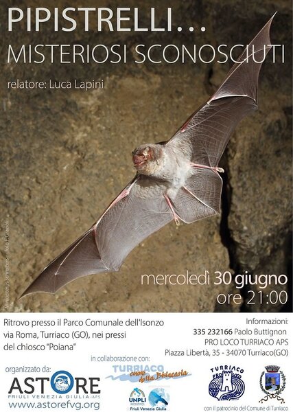 Locandina_PIPISTRELLI_Turriaco_2021.jpg