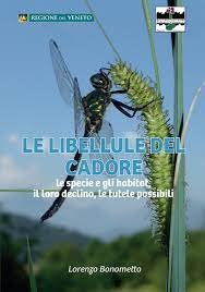 libellule cadore.jpg