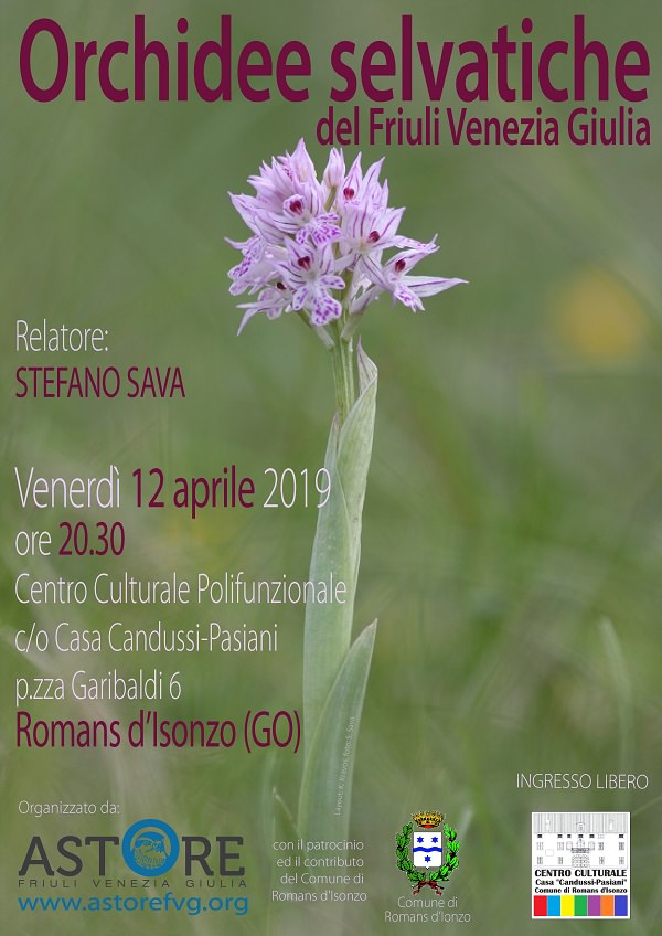 LOCANDINA_Orchidee_ROMANS_2019_bis