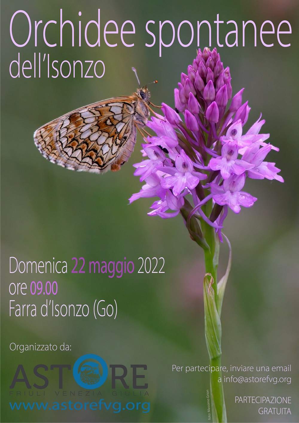LOCANDINA_Orchidee_FARRA_2022